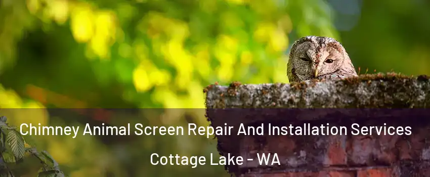  Chimney Animal Screen Repair And Installation Services Cottage Lake - WA