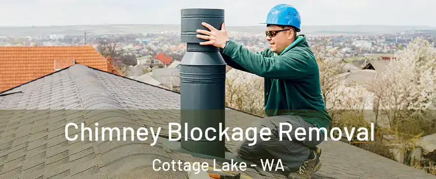  Chimney Blockage Removal Cottage Lake - WA