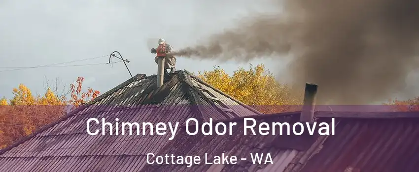  Chimney Odor Removal Cottage Lake - WA