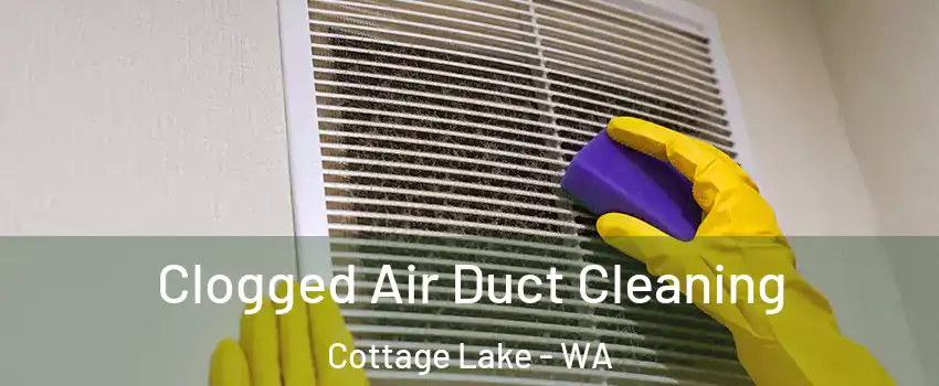  Clogged Air Duct Cleaning Cottage Lake - WA