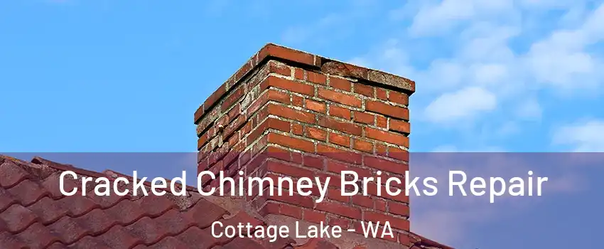  Cracked Chimney Bricks Repair Cottage Lake - WA