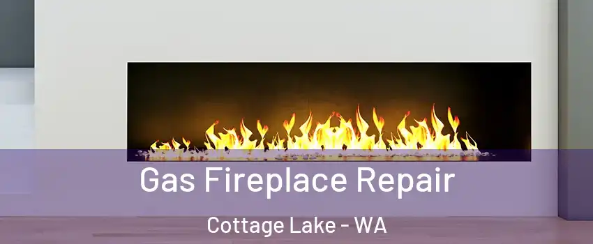  Gas Fireplace Repair Cottage Lake - WA