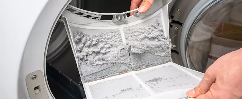 Best Dryer Lint Removal Company in Cottage Lake, Washington