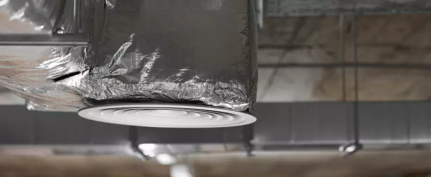Signs of Dust Accumulation in Vents in Cottage Lake, WA