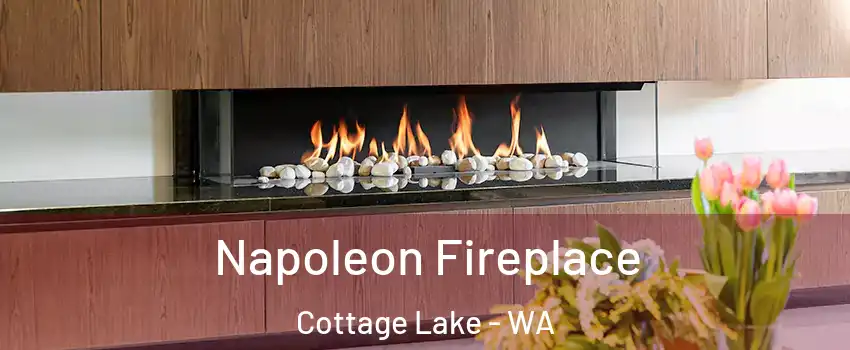  Napoleon Fireplace Cottage Lake - WA