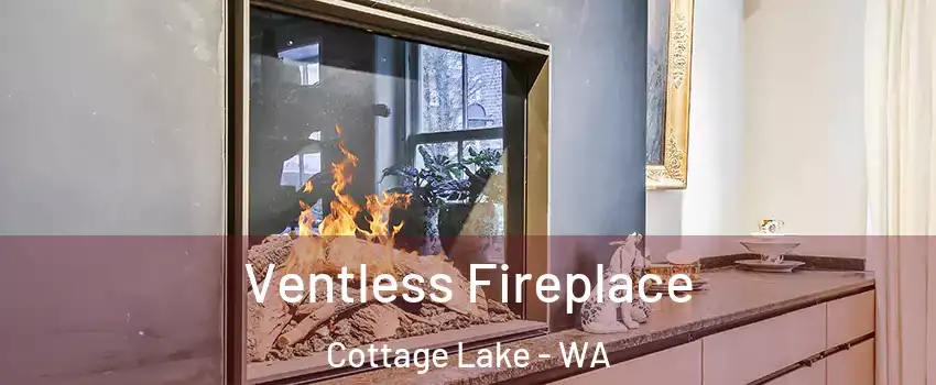  Ventless Fireplace Cottage Lake - WA